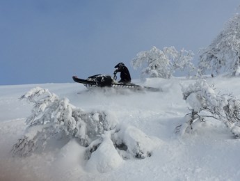 Bli medlem